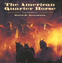 The American Quarter Horse The American Quarter Horse