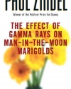 The Effect of Gamma Rays on Man-in-the-Moon Marigolds