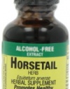 Nature's Answer Horsetail Herb, 1-Ounce