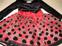 Red and Black Velvet Dress Size 4 Red and Black Velvet Dress Size 4