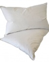 Natural Comfort Standard Classic White Goose Down Feather Pillow, 26-Ounce, Set of 2