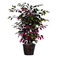 Bushes 48 Artificial Potted Natural Capensia Tree in Green and Red Bushes 48 Artificial Potted Natural Capensia Tree in Green and Red