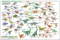 (24x36) Dinosaur Evolution Educational Science Chart Poster (24x36) Dinosaur Evolution Educational Science Chart Poster