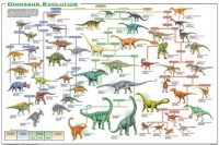 (24x36) Dinosaur Evolution Educational Science Chart Poster