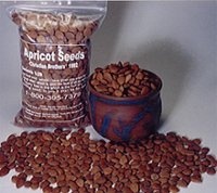 Bitter Raw Apricot Kernels - 1 Lb Bag