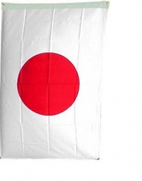 NationalCountryFlags Polyester 3-by-5-Feet Japanese Flag NationalCountryFlags Polyester 3-by-5-Feet Japanese Flag