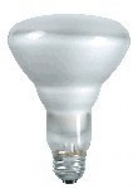 Philips 248872 Soft White 65-Watt BR30 Indoor Flood Light Bulb, 12-Pack