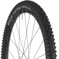 Schwalbe Racing Ralph Snake Skin Tubeless Ready Pace star Folding