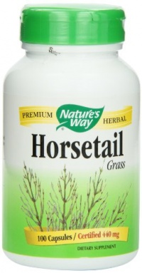 Nature's Way Horsetail Grass, 440 mg,  100 Capsules