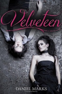 Velveteen Velveteen