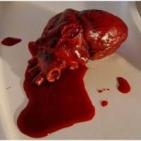 Simulated Body Parts ~ Heart 1/Pkg, Pkg/1 Simulated Body Parts ~ Heart 1/Pkg, Pkg/1
