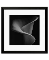 Floral portrait. The swirling petal of a single calla lily emerges from the darkness in this dramatic photo print. An alluring beauty in any decor, framed in simple black and white. Floral portrait. The swirling petal of a single calla lily emerges from the darkness in this dramatic photo print. An alluring beauty in any decor, framed in simple black and white.