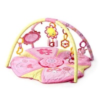 Bright Starts Pink Pretty in Pink Supreme Play Gym Bright Starts Pink Pretty in Pink Supreme Play Gym