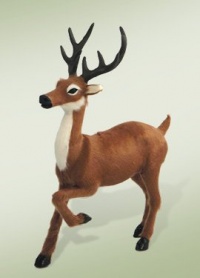 Reindeer Reindeer