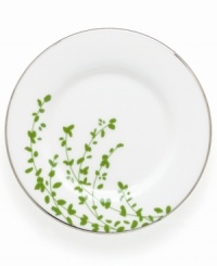 An instant classic from kate spade, this Gardner Street Green saucer exudes contemporary elegance. Green stems of foliage flourish on fine white bone china, creating a stylized two-tone floral motif to freshen up your table. An instant classic from kate spade, this Gardner Street Green saucer exudes contemporary elegance. Green stems of foliage flourish on fine white bone china, creating a stylized two-tone floral motif to freshen up your table.