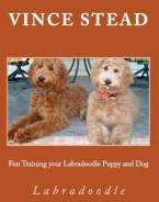 Fun Training your Labradoodle Puppy and Dog