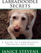 Labradoodle Secrets: A Guide to Labradoodle Training and Care