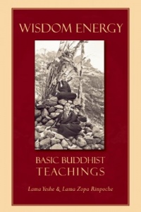 Wisdom Energy: Basic Buddhist Teachings Wisdom Energy: Basic Buddhist Teachings