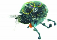 LADYBUG Robot Kit (requires soldering assembly) # 21-885 LADYBUG Robot Kit (requires soldering assembly) # 21-885