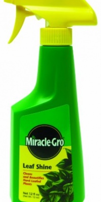 Miracle-Gro 100540 Leaf Shine Ready-to-Use Spray, 12-Ounce Miracle-Gro 100540 Leaf Shine Ready-to-Use Spray, 12-Ounce
