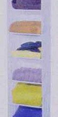 Whitmor 6044-285 White Crystal Collection 8 Section Hanging Accessory Shelves, Clear/White. Whitmor 6044-285 White Crystal Collection 8 Section Hanging Accessory Shelves, Clear/White.