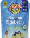 Earth's Best Organic Banana Blueberry Puree, 4.2 Ounce Pouches (Pack of 12)