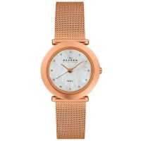 Skagen Women's 107SRRD Rose Gold Mesh Watch Skagen Women's 107SRRD Rose Gold Mesh Watch
