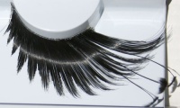 Zinkcolor Feather False Eyelashes F879 Dance Halloween Costume Zinkcolor Feather False Eyelashes F879 Dance Halloween Costume