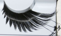 Zinkcolor Feather False Eyelashes F879 Dance Halloween Costume