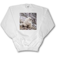 Billy Mountain Goats, Altyn Ridge, Glacier NP Montana - US27 CHA2586 - Chuck Haney - Adult SweatShirt Small Billy Mountain Goats, Altyn Ridge, Glacier NP Montana - US27 CHA2586 - Chuck Haney - Adult SweatShirt Small