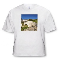 Mountain Goat Billy, Logan Pass, Glacier NP, Montana - US27 CHA1103 - Chuck Haney - White Infant Lap-Shoulder Tee (24M) Mountain Goat Billy, Logan Pass, Glacier NP, Montana - US27 CHA1103 - Chuck Haney - White Infant Lap-Shoulder Tee (24M)