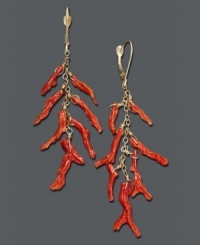 Bring new life to your wardrobe with underseas style! These fresh earrings feature bright coral branches suspended from a 14k gold chain and setting. Approximate drop: 2-1/2 inches. Bring new life to your wardrobe with underseas style! These fresh earrings feature bright coral branches suspended from a 14k gold chain and setting. Approximate drop: 2-1/2 inches.