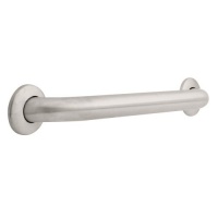 Safety First S1F5618SS 18-Inch by 1-1/2-Inch Concealed Mounting Grab Bar, Stainless Steel