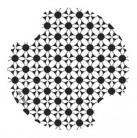 Black & White Flowers, Carsters 2 Pack Car Coasters Black & White Flowers, Carsters 2 Pack Car Coasters