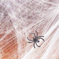 Spider Web Streachable white with (2) Spiders Pkg/1 Spider Web Streachable white with (2) Spiders Pkg/1