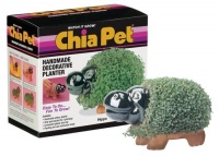 Chia Hippo Collectable Chia Hippo Collectable