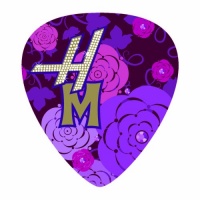Disney Hannah Montana Guitar Picks- 6 Tear-drop shaped picks Disney Hannah Montana Guitar Picks- 6 Tear-drop shaped picks