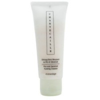 Chantecaille Rice & Geranium Foaming Cleanser - 70ml/2.3oz Chantecaille Rice & Geranium Foaming Cleanser - 70ml/2.3oz