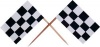 Wooden Race Car Flag Picks (Receive 144 Per Order)