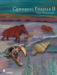 Cenozoic Fossils II The Neogene Cenozoic Fossils II The Neogene