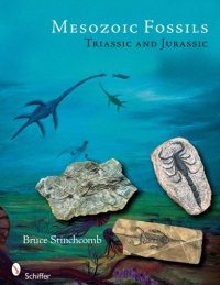 Mesozoic Fossils I: Triassic & Jurassic Periods Mesozoic Fossils I: Triassic & Jurassic Periods