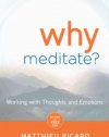 Why Meditate: Working with Thoughts and Emotions