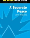 A Separate Peace (SparkNotes Literature Guide) (SparkNotes Literature Guide Series)