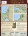 A Survey of the Old Testament Laminated Sheet (Zondervan Get an A! Study Guides)