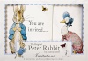 Meri Meri Peter Rabbit Invitations 8 Cards Birthday Party Baby Shower