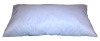 8x16 Pillow Insert Form