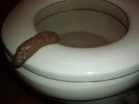 Party Pooper Fake Human Poop Party Pooper Fake Human Poop