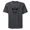 Chicago Bulls Logo Pop T-Shirt