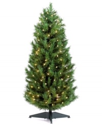 It's tradition! Deck and celebrate around the same beautiful Christmas tree year after year. Kurt Adler's faux sugar pine is strung with 100 twinkling lights and offers ample space for any ornament collection. It's tradition! Deck and celebrate around the same beautiful Christmas tree year after year. Kurt Adler's faux sugar pine is strung with 100 twinkling lights and offers ample space for any ornament collection.
