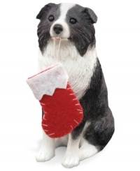 Bark up the right tree with a Christmas ornament for your dog – or a fellow animal lover! A clever black-and-white border collie begs for a stocking full of bones. From Sandicast. Bark up the right tree with a Christmas ornament for your dog – or a fellow animal lover! A clever black-and-white border collie begs for a stocking full of bones. From Sandicast.